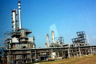 茂名石化攻堅克難乙烯產量創新高